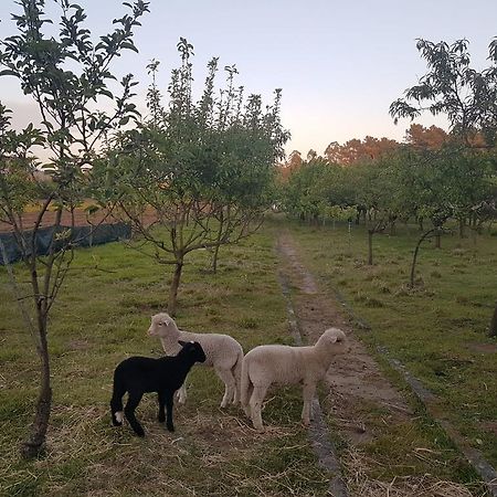 Quinta da Lage Villa Barcelos Eksteriør bilde